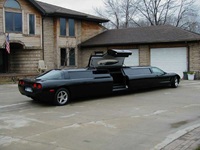 Limousine Door Up